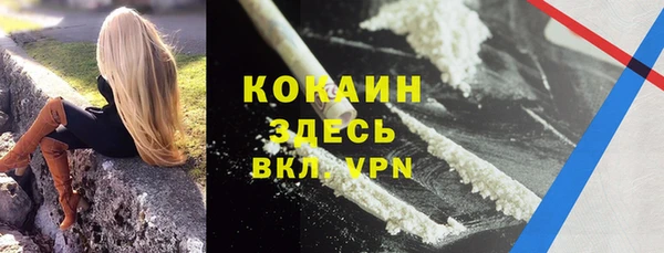 крисы Арсеньев